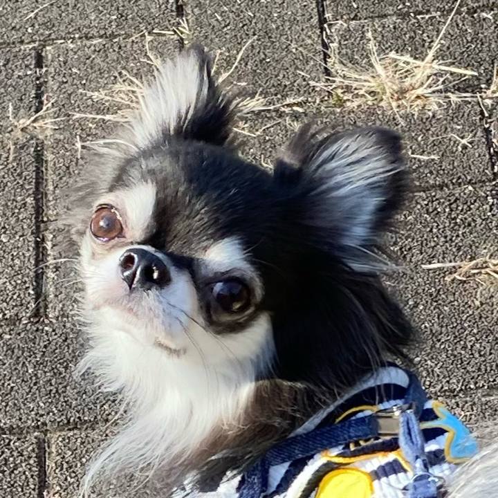 8b501949 fe0d 4814 a837 dfaf525565da 1667055129594