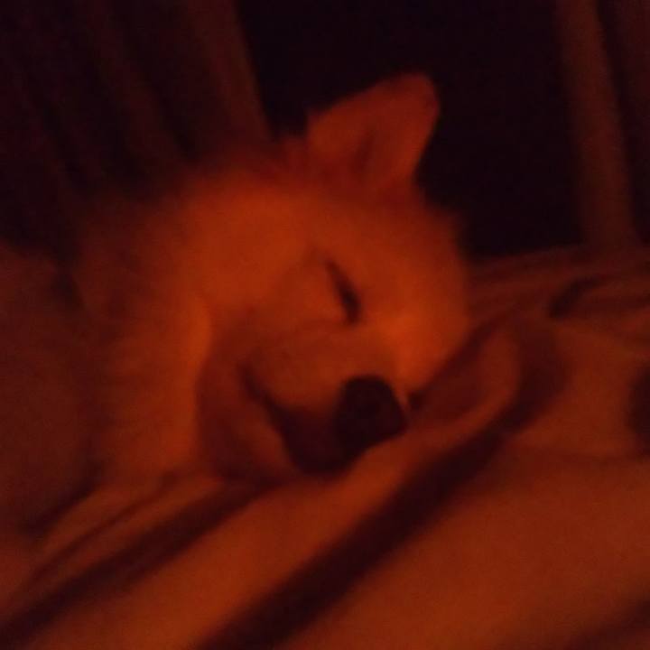 8b5023a9 0ff4 4bef 9e00 a3cdcb7e65cb 1633200712075