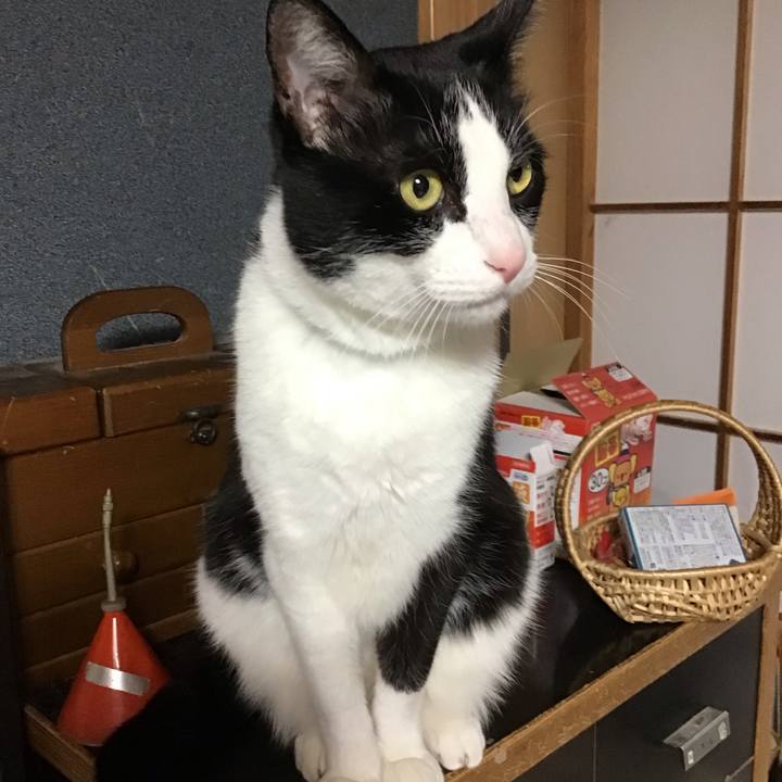 8b507f9c 0a1d 4b86 88bd 249eac164580 1743593489529