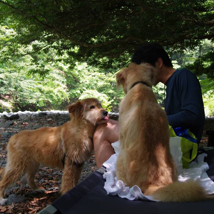 8b50af3a 3d72 474f b0ed 5d6122cbd5a4 1531737409482