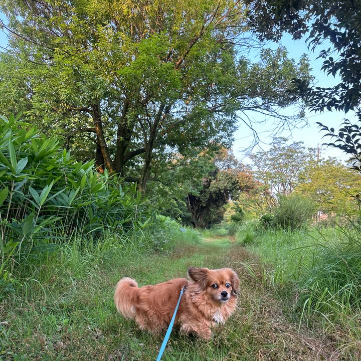 8b50bd9b 668f 4964 beda 32ef97379389 1688417967288