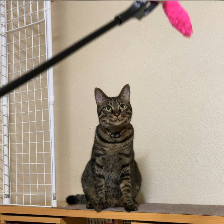 8b50e43c 54c1 4bea beef 75ce3ae517fc 1571498459363