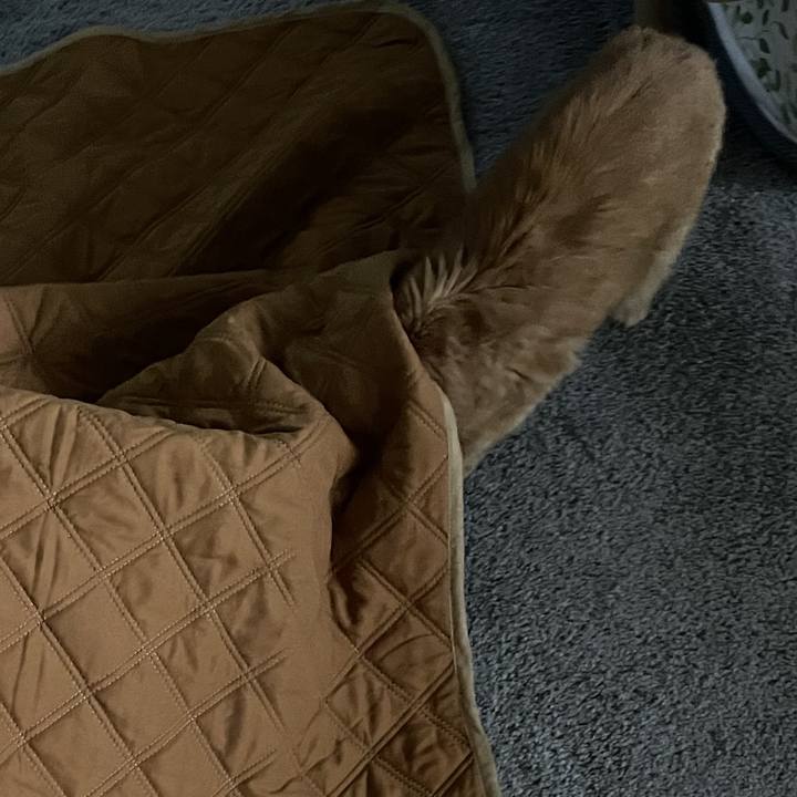 8b51446d c470 4f1e b5ac e5fb79f9231d 1769556753924