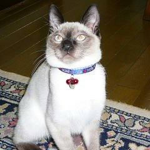 8b514ac2 2785 4989 a4b6 903312158a59 1557063502592