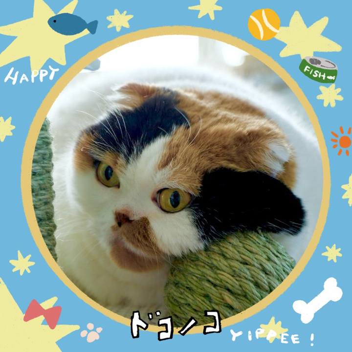 8b515d08 ff56 4cc1 9cdc 3a7decf67e86 1720762908777