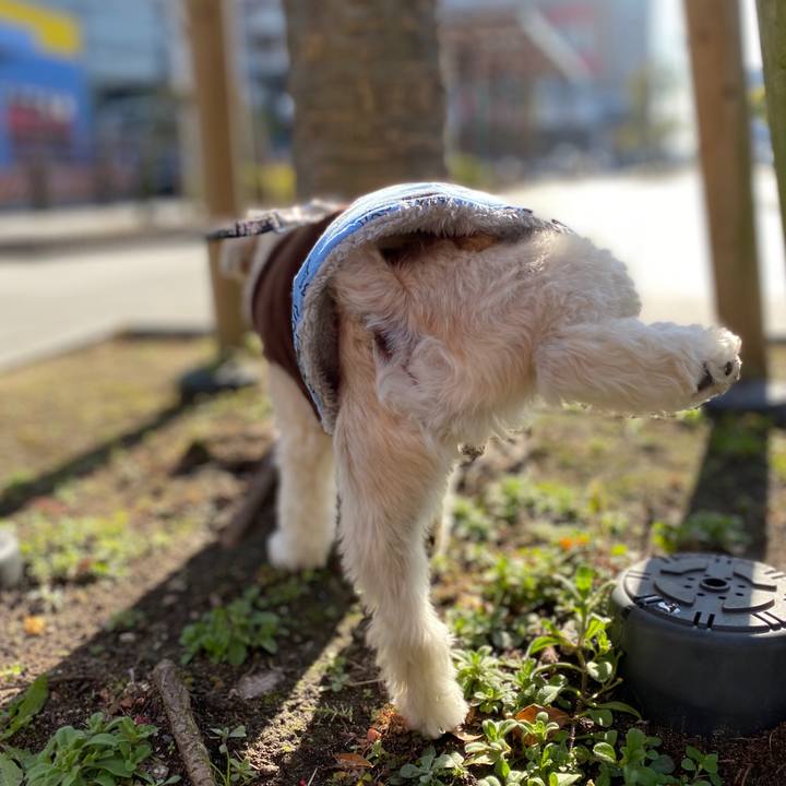 8b515ea1 62ea 4f53 98da eff13f8dc49a 1577766542029