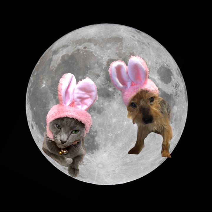 8b516ca4 c672 4325 8e81 034c15de4ab6 1632201734698