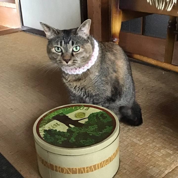 8b51abb3 e6fe 4c05 a24b ebb5dbb84f25 1750825337284