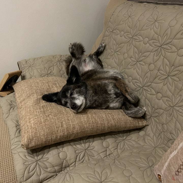 8b5205b6 45e8 43e0 812c a4e5548974ea 1726802170220