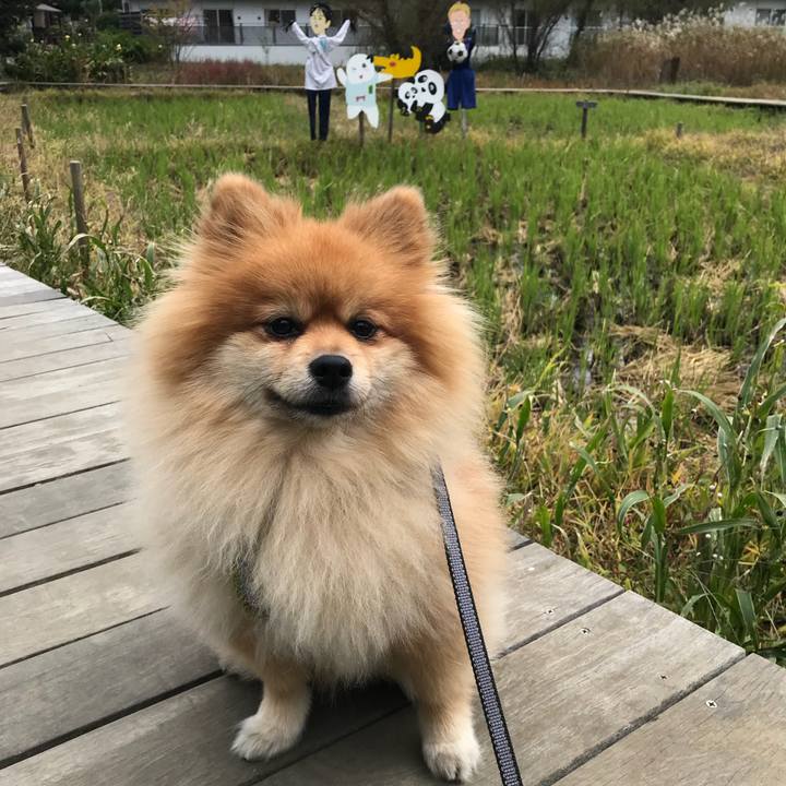 8b520c3f aeb0 4b4c 9d63 31f805c5f5b8 1544751623210