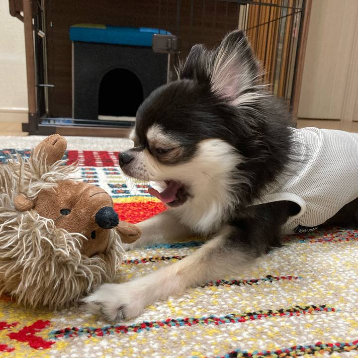 8b521a73 0f18 4e21 80da 2e2df8c09fb1 1695481243730