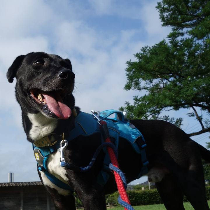 8b5296fe e1cc 4349 a131 607cfb5f8c48 1624667895755