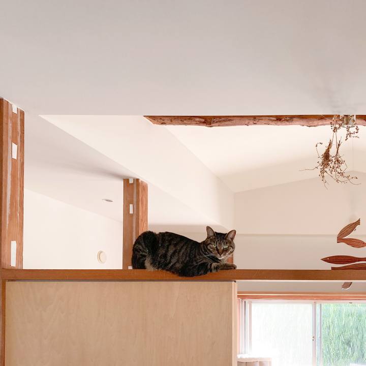 8b529ca8 2d9f 4a87 a3a3 7c94996ede49 1749252206793