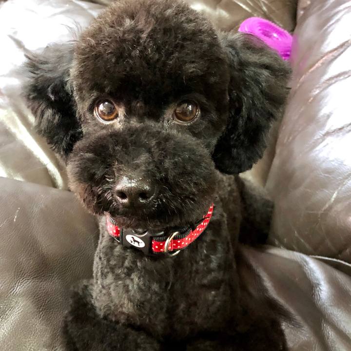 8b52bca5 5e5d 4a09 b55c f0a1ff704d3c 1557632377111