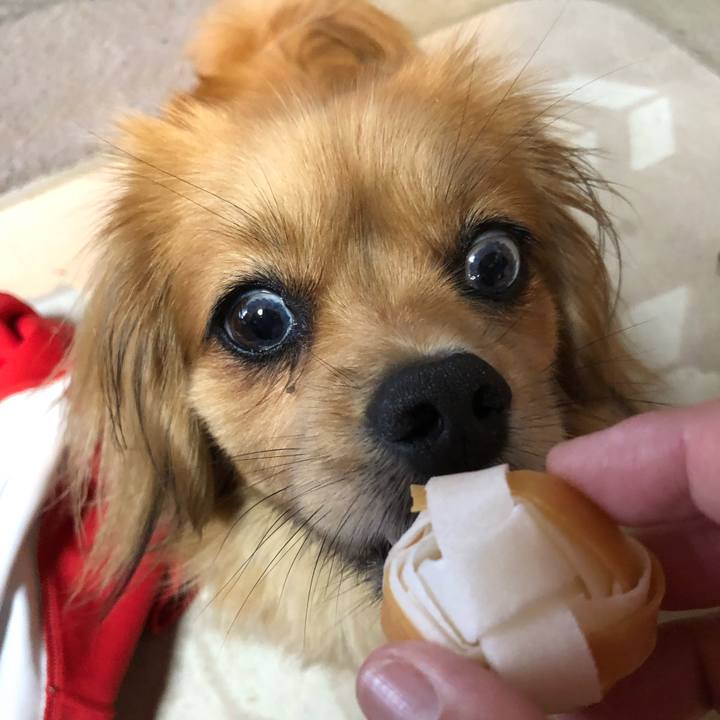 8b52ee7e 57e3 47ea ac00 45437da8f3d5 1562620123488