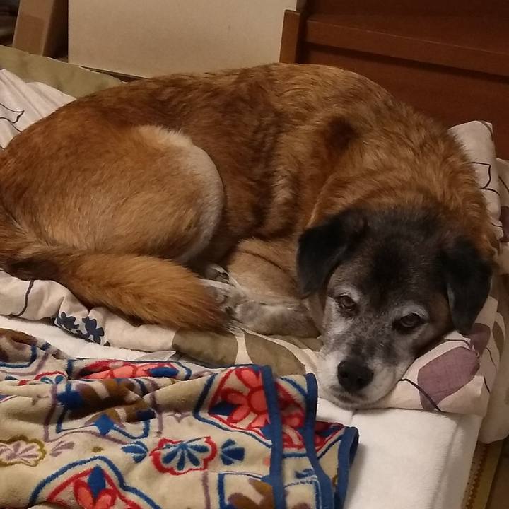 8b533ebb 28e3 4054 850f be57a30fa8b6 1574246104148