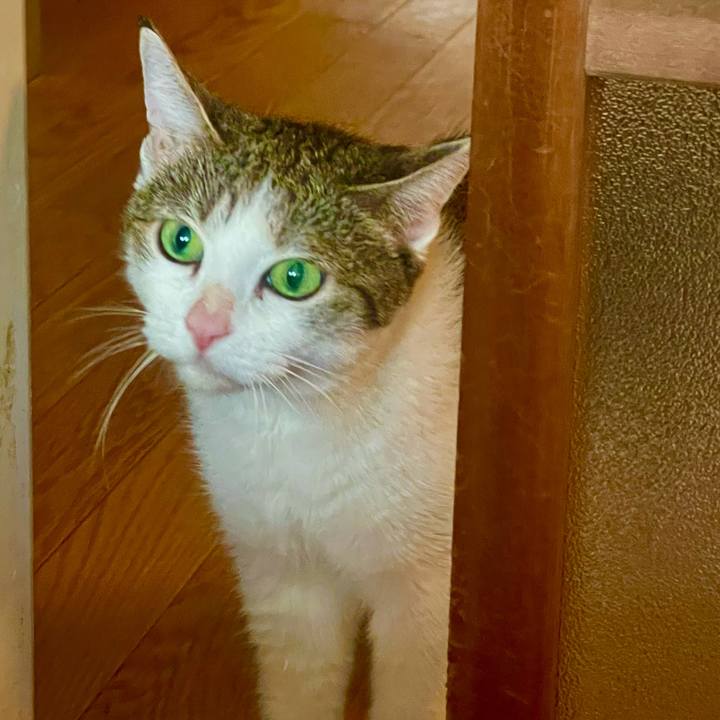 8b53782c aed7 44c0 9d13 99fabee7cc50 1626218958656