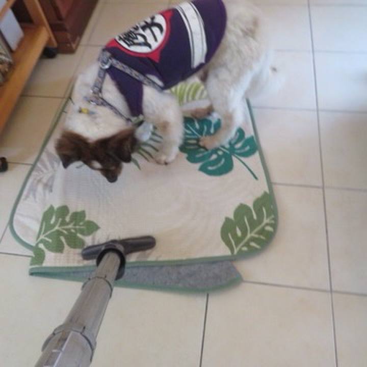 8b53b055 dcc7 497b 9cb6 93e318d2fac4 1615075169306