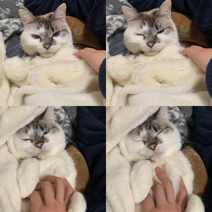 8b53ba87 7a3c 4c1a b178 322525407c91 1582104976304