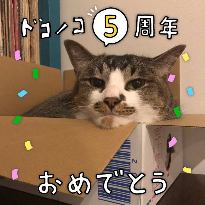 8b53d4bc 15a5 492d 949d d412684b678c 1623323672365