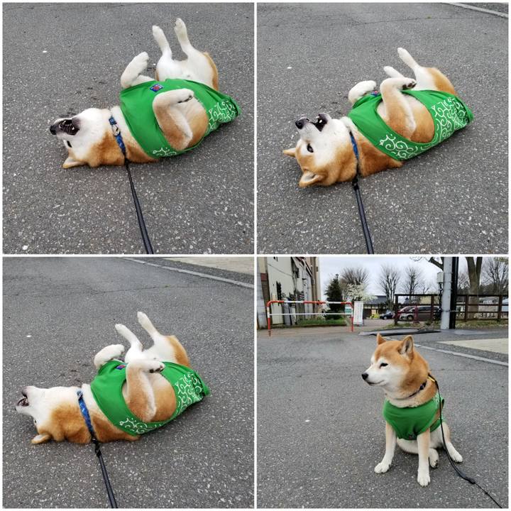 8b53df3a 739f 4f54 9479 8744f70d26fc 1587544153284