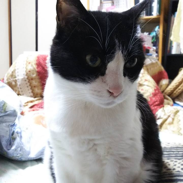 8b53e04b 740c 4d6a b4b4 3c7b8b28ff68 1548362852113