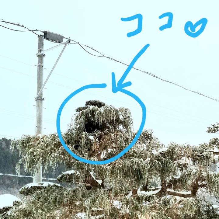 8b53e5fc 7aad 4636 ad1a 4e2d7f6bc4cc 1576754549873