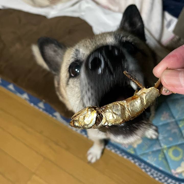 8b53ec99 ccc6 47a6 b268 bd8e6ae87db5 1702644116035