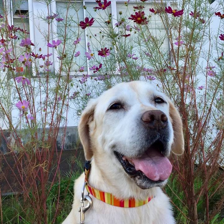 8b5420dc 6271 4cca 9ffd 7e46d4043a08 1557644712742