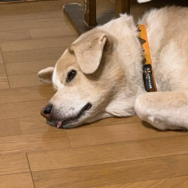 8b543d60 7e38 4014 bf76 5e8332c2644c 1598712096666