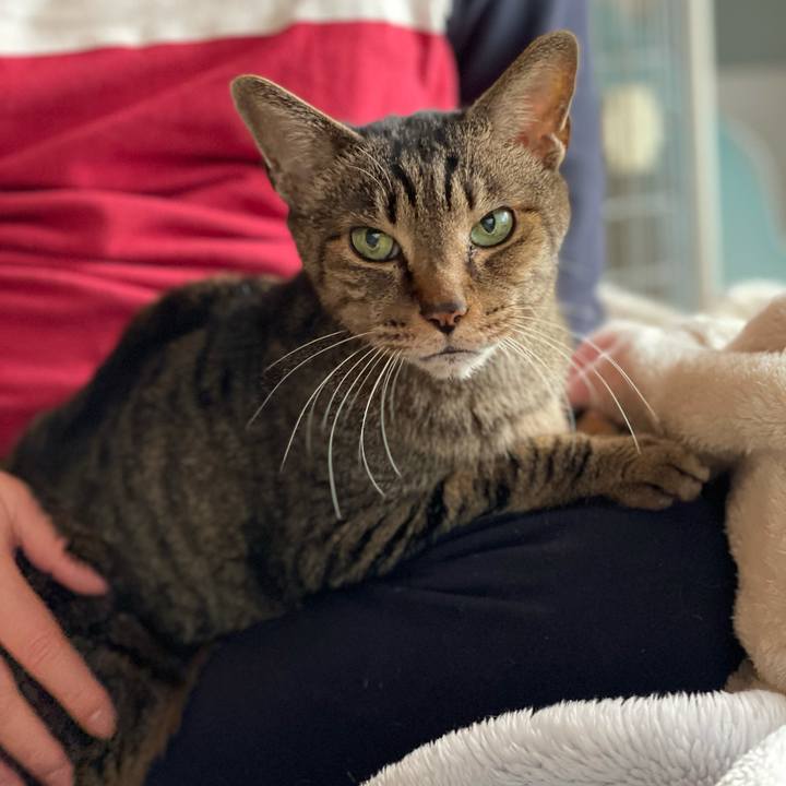 8b54b30a 84a6 4eb9 88e3 c52a08c0412c 1614908324991