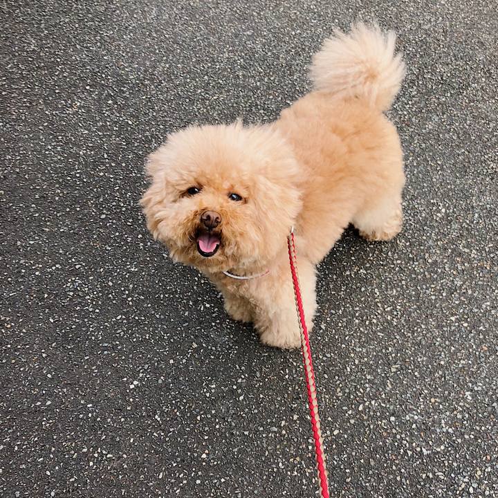 8b550f22 c2a7 4953 9528 b0c1ec5ed1b2 1522114871240