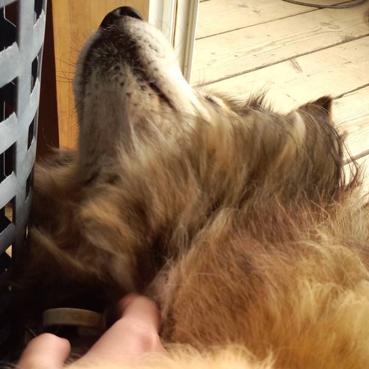 8b551580 4aaf 4305 b419 459944536edc 1562378635455