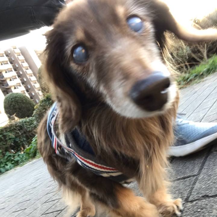 8b552e31 f1f1 40ce 93f9 fb8f591179ee 1581408073833