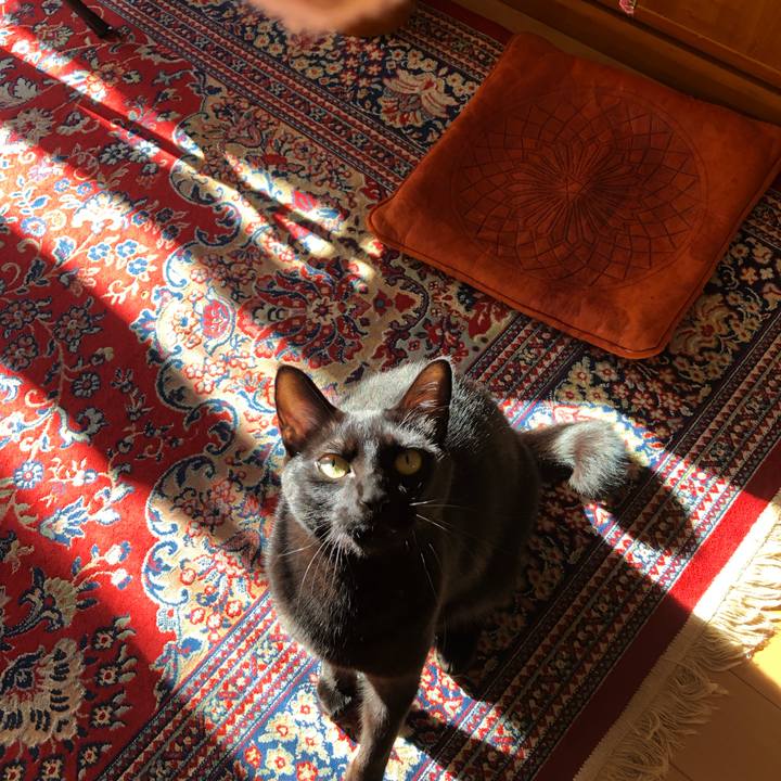 8b5551a5 2bef 4930 9c23 e30bc460f0a4 1546412716871