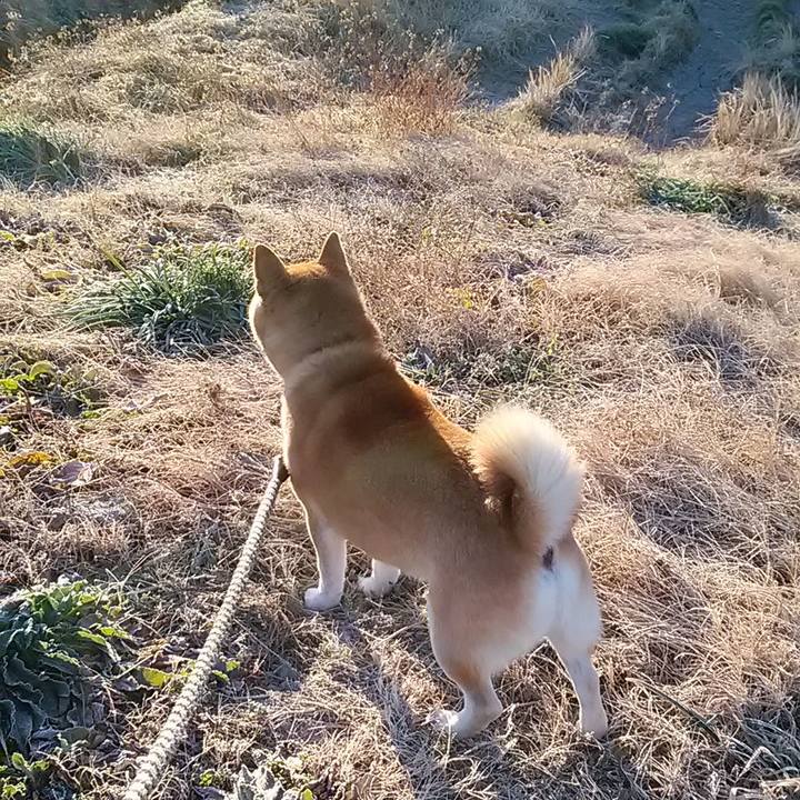 8b557aca 3f5f 445d ba0a 56892e5b39ba 1611718517946