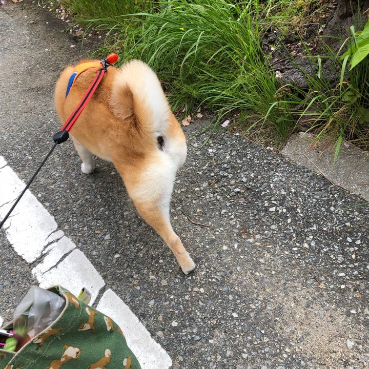 8b55b897 b8bd 4f27 8e3d bb64c2dd2297 1587367125572