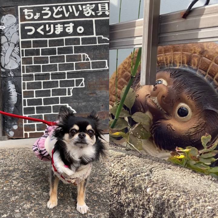 8b5626bd ae5b 448f 8203 080574eaa4f8 1638693439373