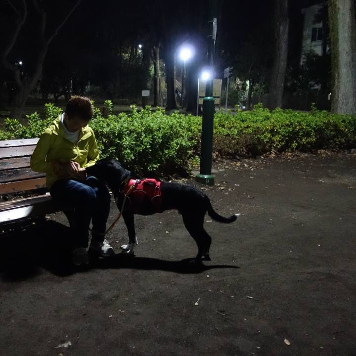 8b562cd4 889e 444f 91d8 5335b9b03d59 1583986120231