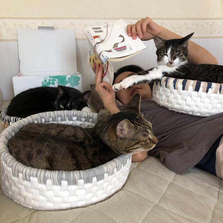 8b563001 ca3a 4730 a9b7 fa82b673753b 1600790106880