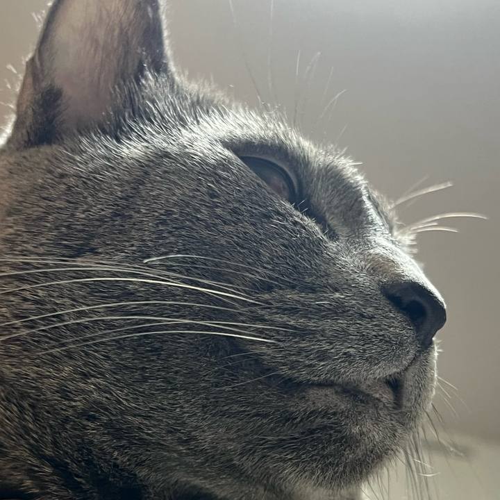 8b563fd6 321a 4e5f 9fed 37384500228f 1716644316844