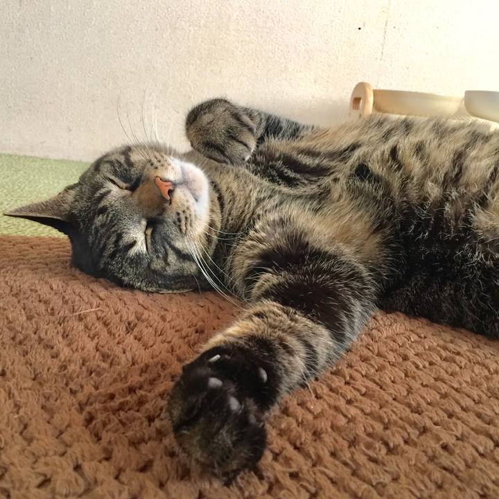 8b56bfe4 7e53 4ef5 ad7a 07341ff8ed0e 1612427586710