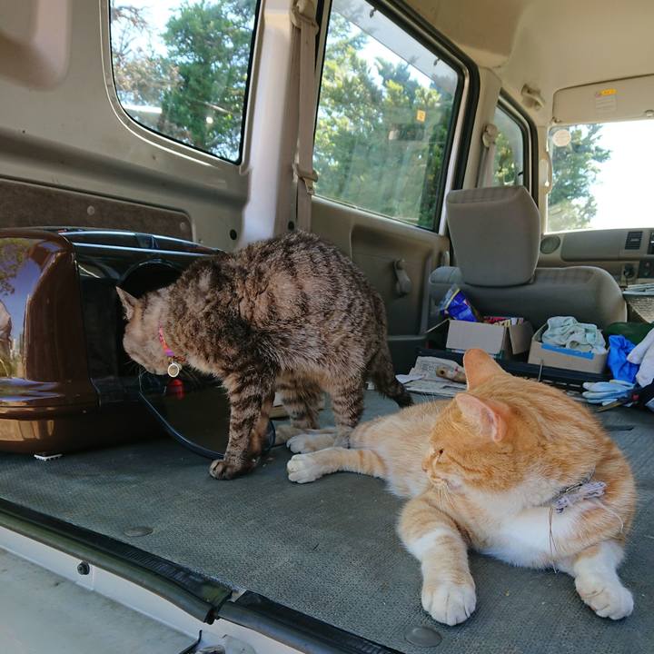 8b56e1f4 7530 42de 90e6 7fe16c640241 1592635149119