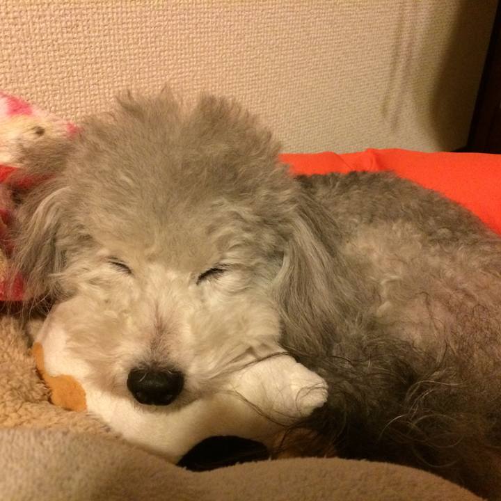 8b56e832 4f23 41c4 bd44 600566d4b9c4 1510700678995