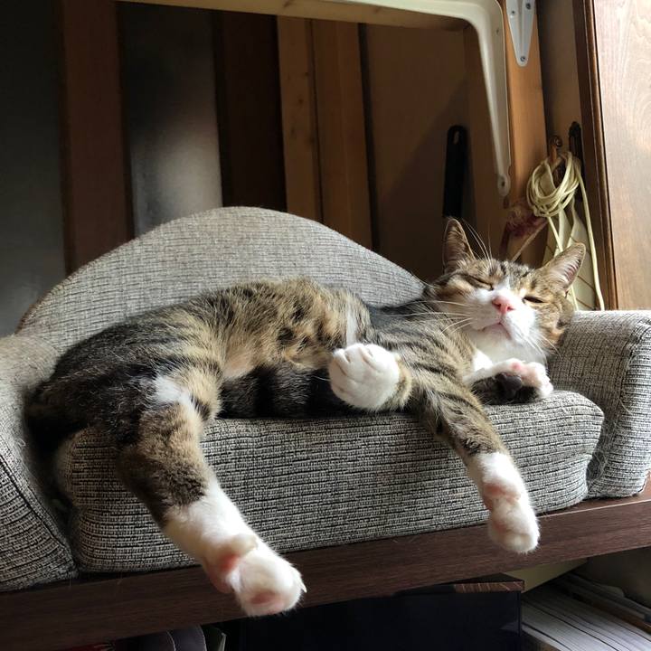 8b57825c a066 4671 8b08 fbf15e43f152 1591840789390