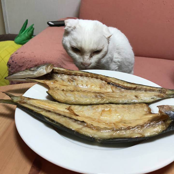 8b57991b f132 4ef3 89e7 1e6b1fff12bd 1519209018682