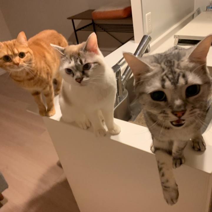 8b57d297 1656 43dd b63e d242929600fc 1554975669143