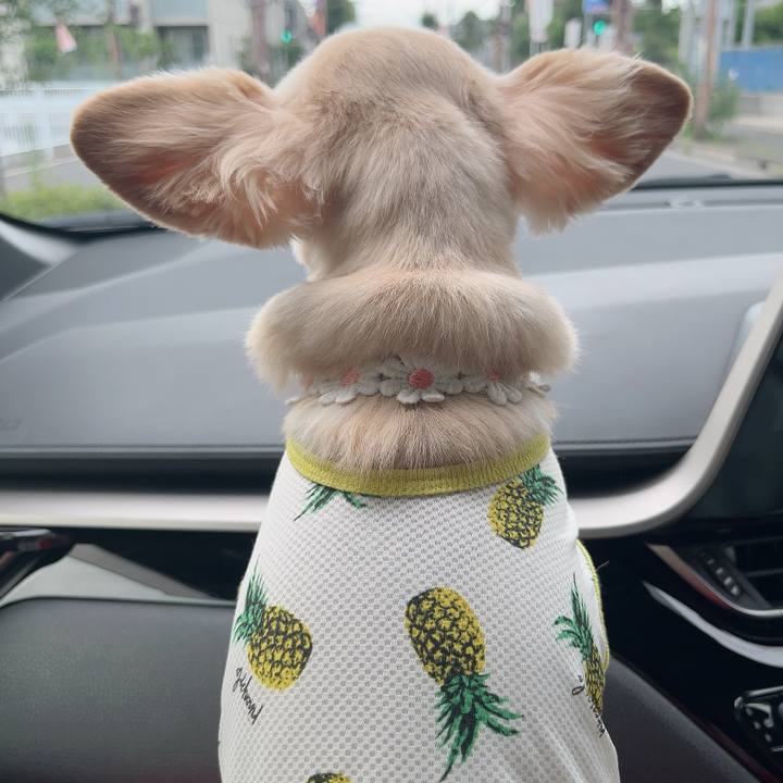 8b57ea1e 9873 41ef a808 1ee610938ddf 1722154221057