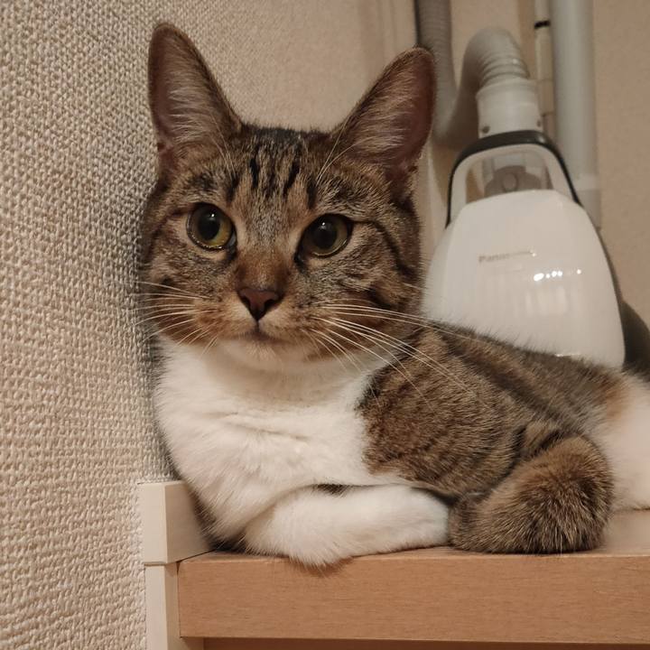 8b57f9a1 71f3 46ff 916f 880dd8054ed2 1662737007846