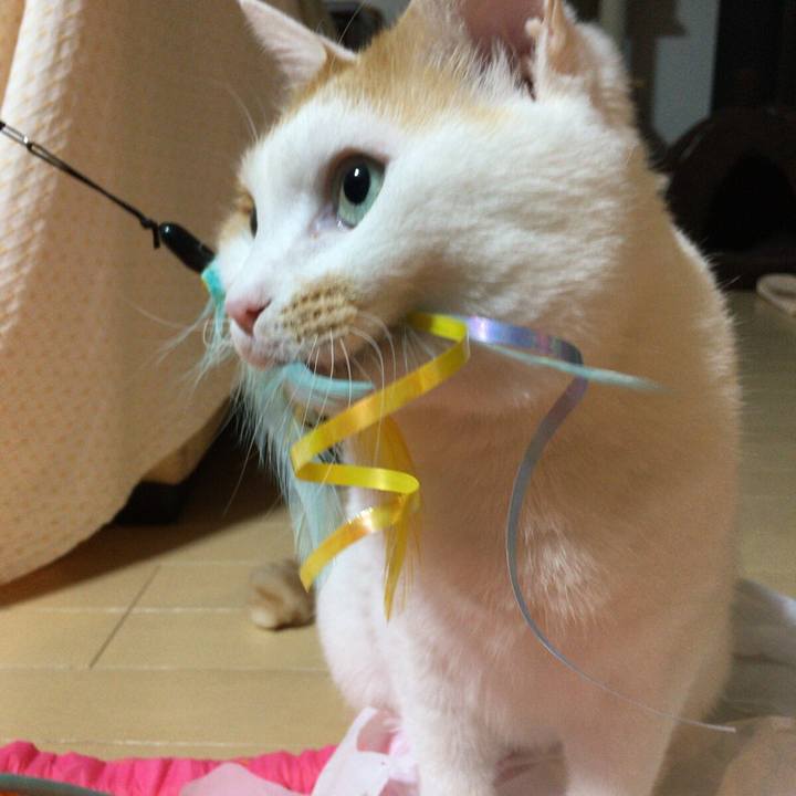 8b58108f 043b 4ed4 80a7 03e6887a2839 1518608642095